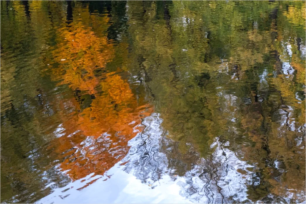 Detail Fluss Herbst Spiegelung Bäume Bunt Number 7