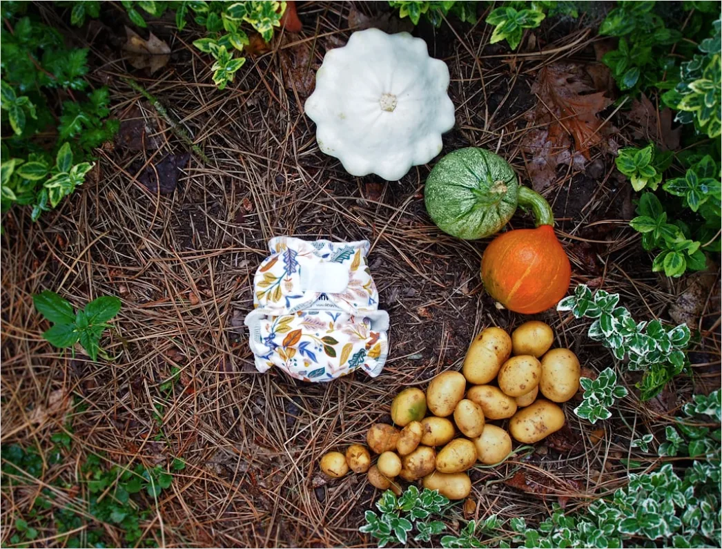 Detail Food Flatlay Herbst Kürbis Gewürze Number 11