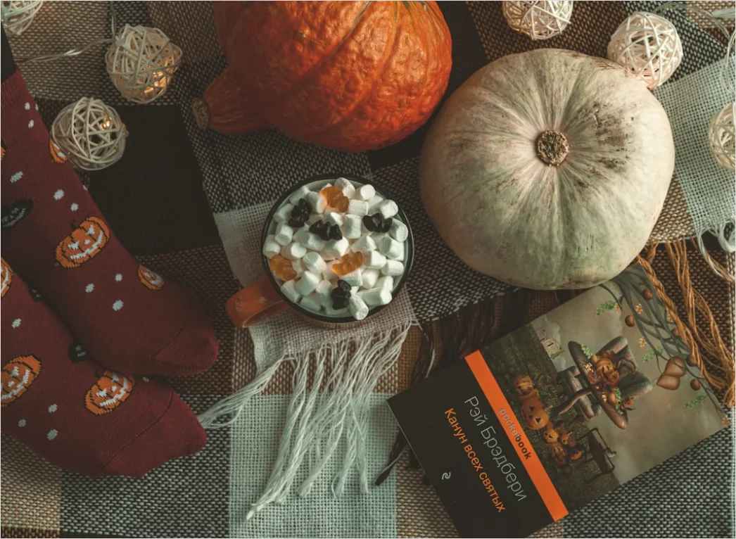 Detail Food Flatlay Herbst Kürbis Gewürze Number 13