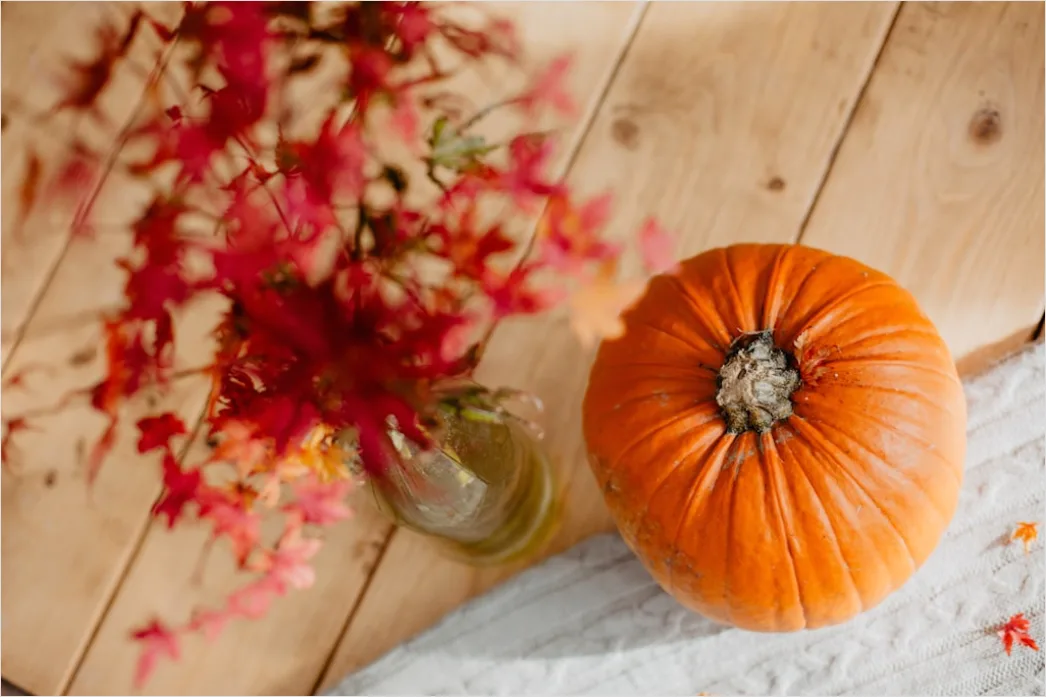Detail Food Flatlay Herbst Kürbis Gewürze Number 14