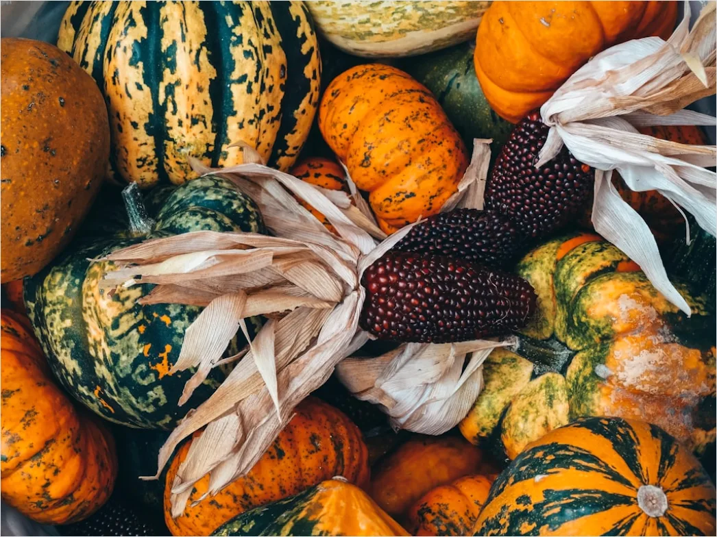 Detail Food Flatlay Herbst Kürbis Gewürze Number 18