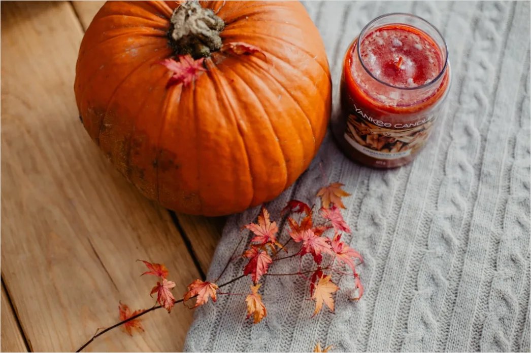 Detail Food Flatlay Herbst Kürbis Gewürze Number 19