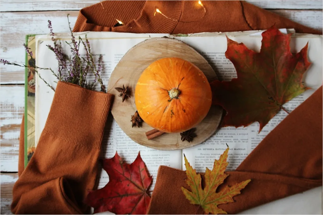 Detail Food Flatlay Herbst Kürbis Gewürze Number 3