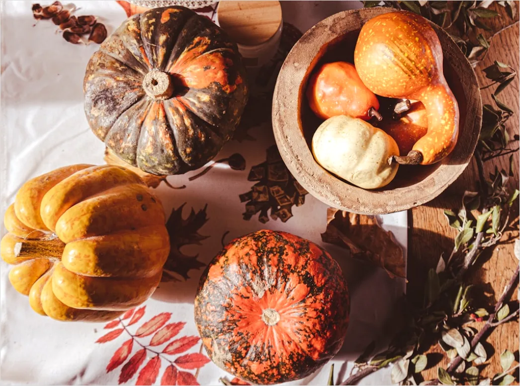 Detail Food Flatlay Herbst Kürbis Gewürze Number 4