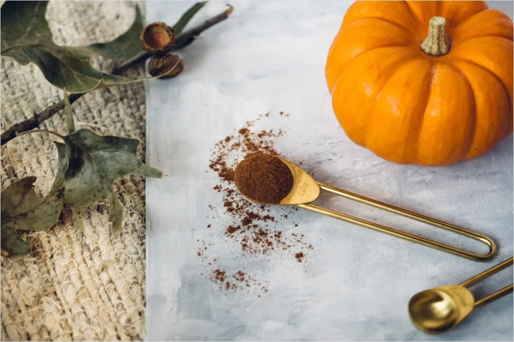 Detail Food Flatlay Herbst Kürbis Gewürze Number 5