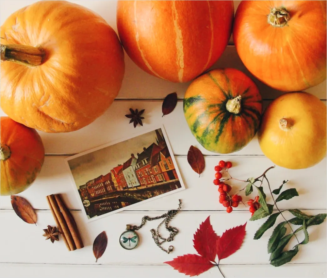 Detail Food Flatlay Herbst Kürbis Gewürze Number 6
