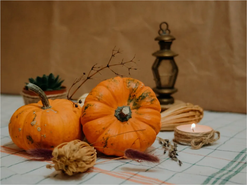 Detail Food Flatlay Herbst Kürbis Gewürze Number 7