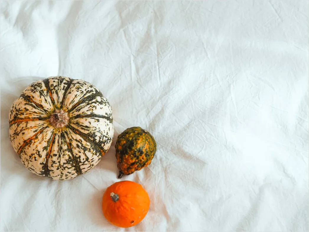 Detail Food Flatlay Herbst Kürbis Gewürze Number 10
