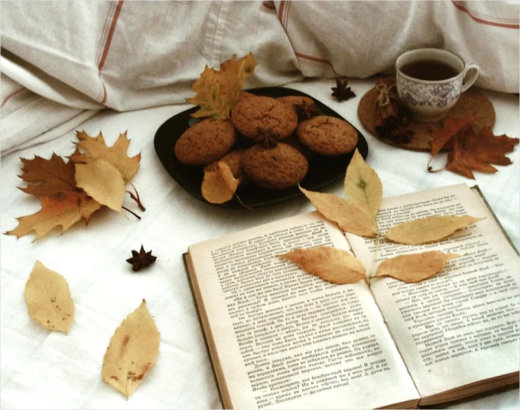 Detail Food Flatlay Kaffee Buch Herbst Stimmung Number 11