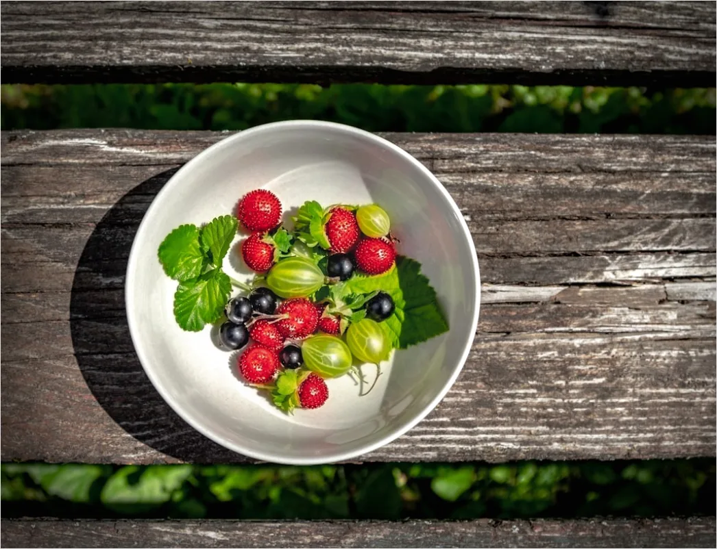 Detail Food Flatlay Sommer Obst Bunt Draufsicht Number 17