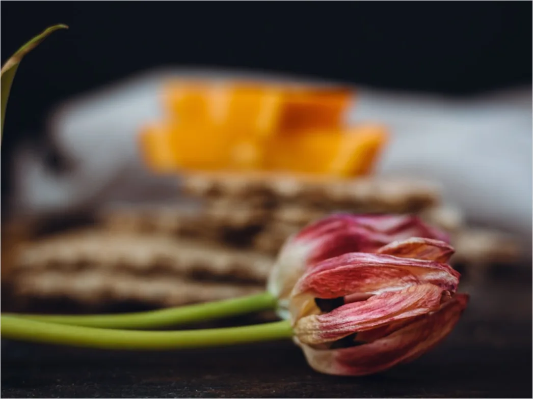 Detail Food Styling Nahaufnahme Professionell ästhetisch Number 7