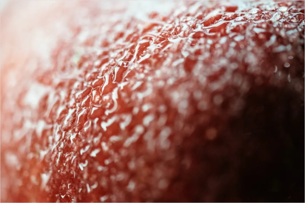 Detail Freckle Sommersprossen Makro Nahaufnahme Number 2