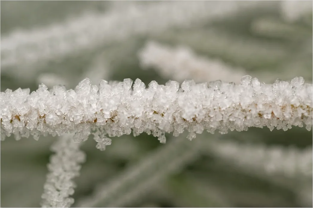 Detail Frost Auf Blatt Makro Nahaufnahme Number 17