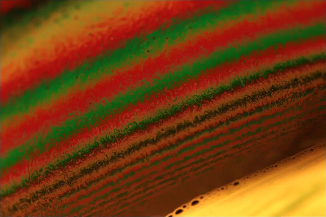 Detail Gewürze Makro Nahaufnahme Farben Textur Number 16