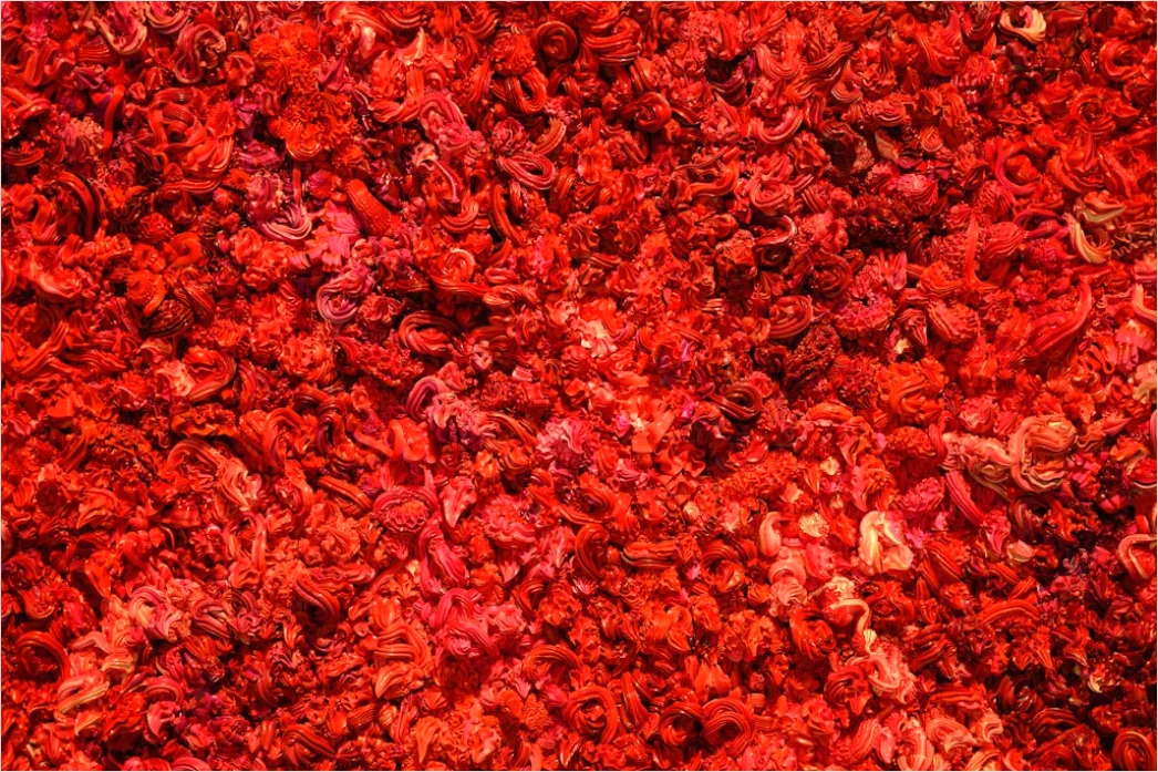Detail Gewürze Makro Nahaufnahme Farben Textur Number 7