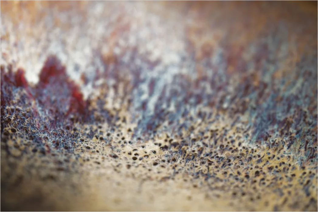 Detail Gewürze Makro Nahaufnahme Farben Textur Number 8