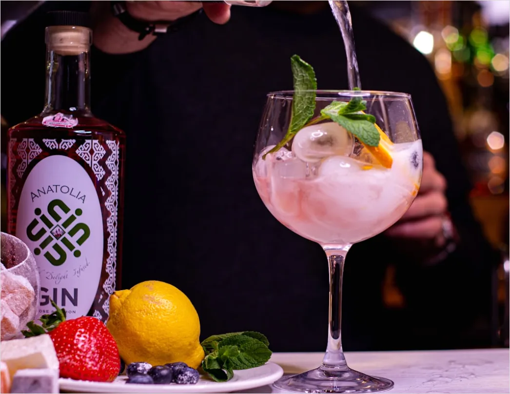 Detail Gin Tonic Glas Gurke Nahaufnahme Number 11