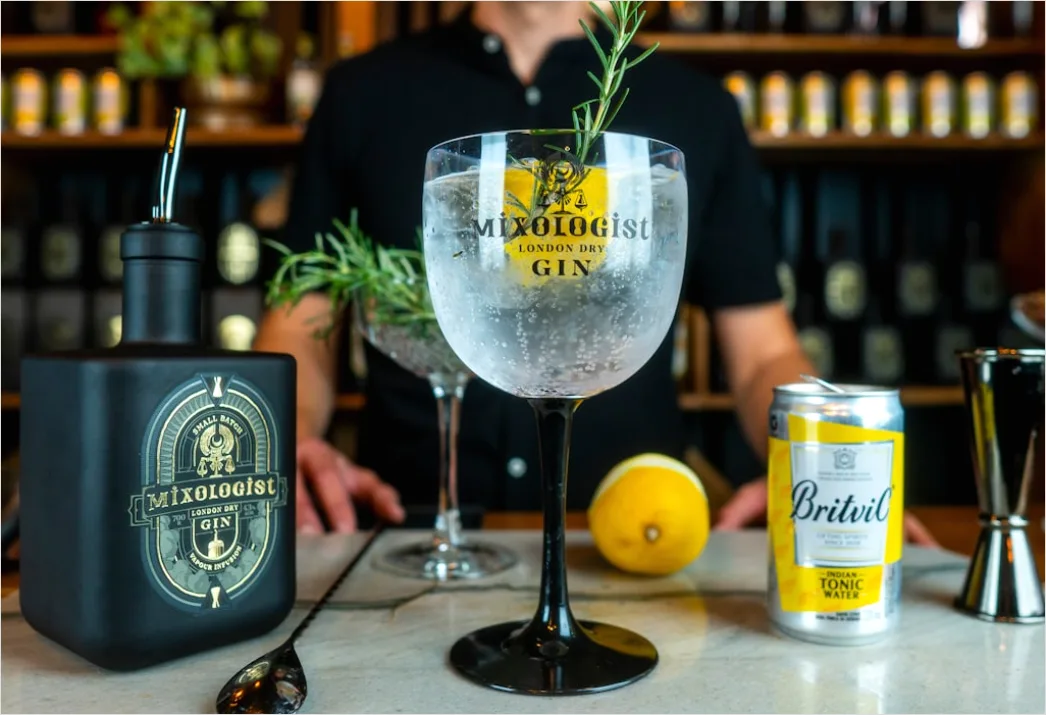 Detail Gin Tonic Glas Gurke Nahaufnahme Number 17