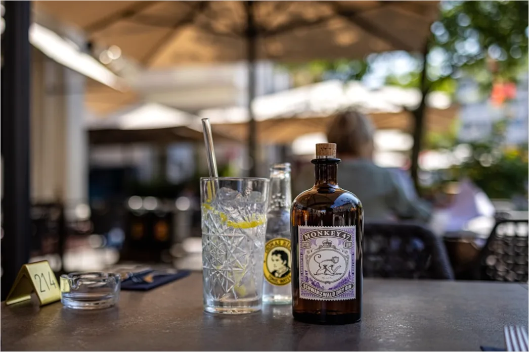 Detail Gin Tonic Glas Gurke Nahaufnahme Number 18