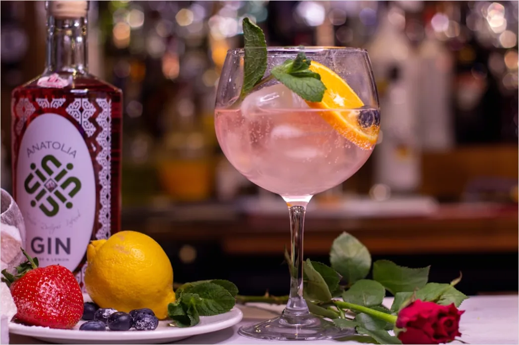 Detail Gin Tonic Glas Gurke Nahaufnahme Number 19