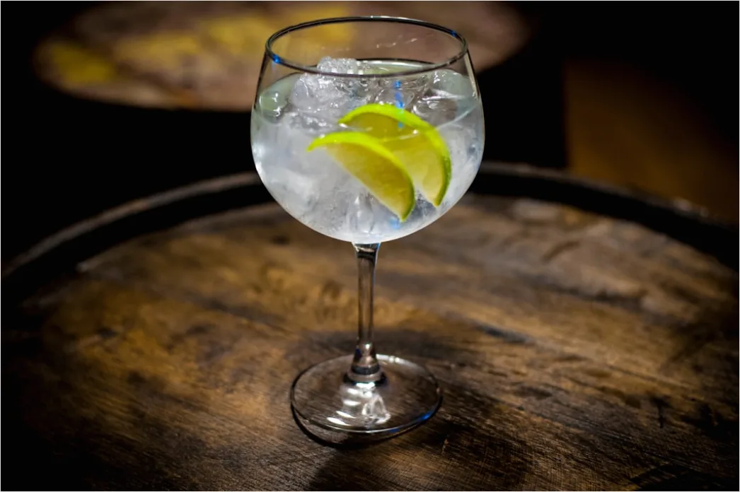 Detail Gin Tonic Glas Gurke Nahaufnahme Number 4