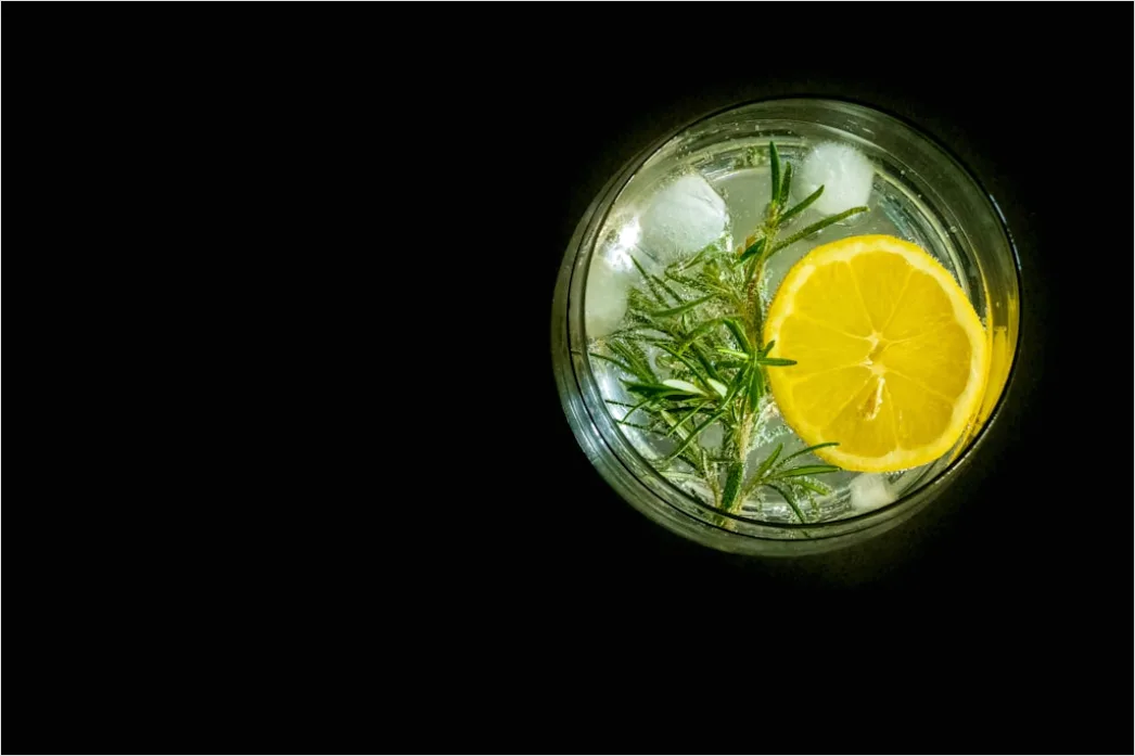 Detail Gin Tonic Glas Gurke Nahaufnahme Number 5