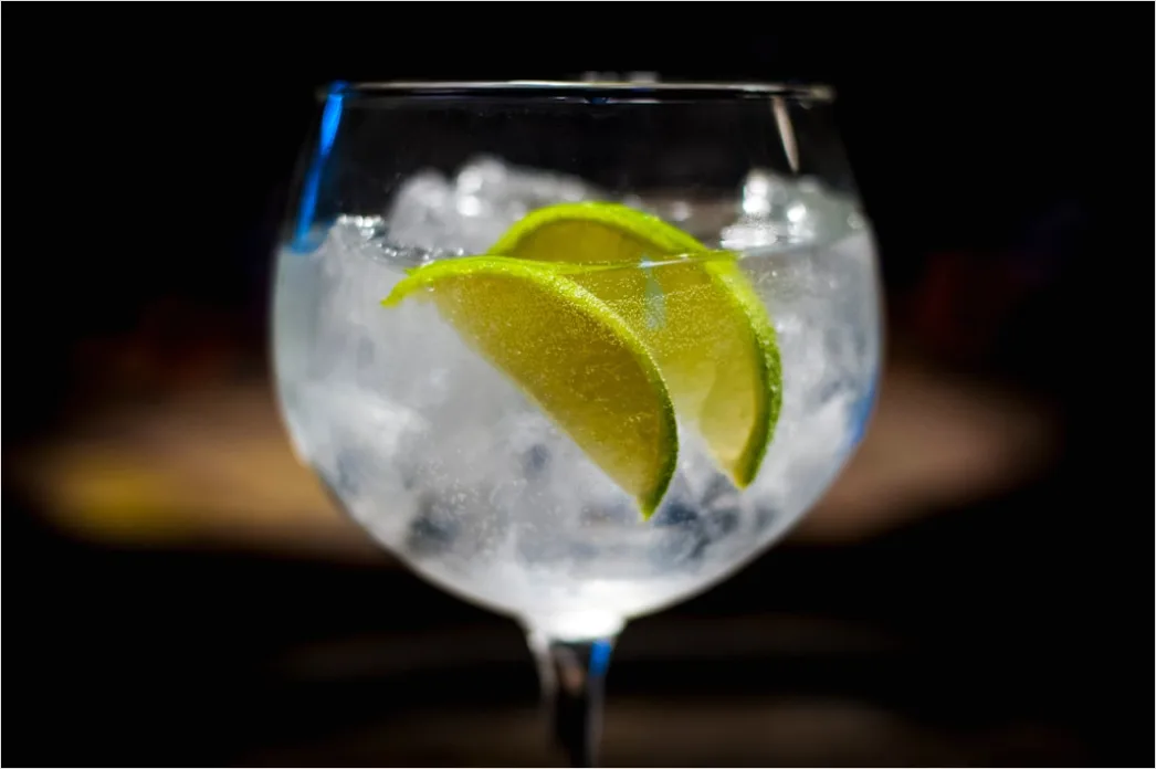Detail Gin Tonic Glas Gurke Nahaufnahme Number 6