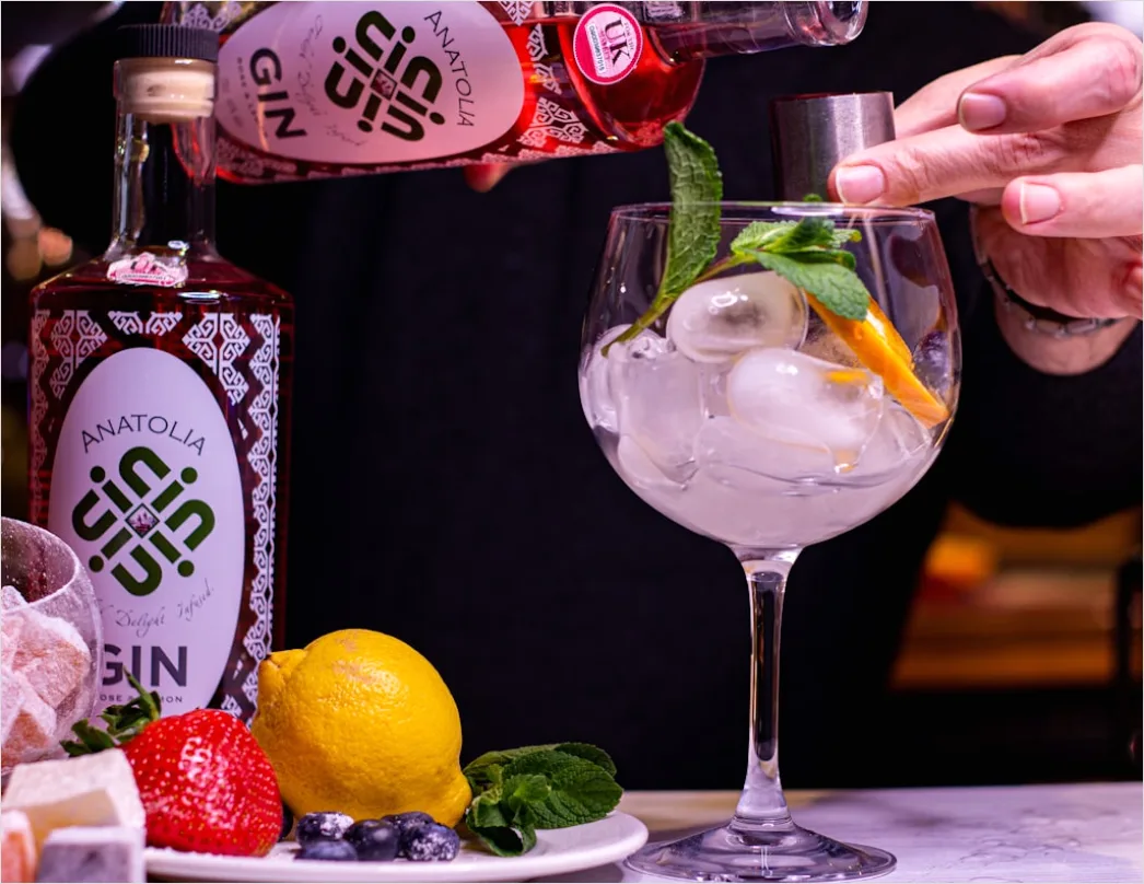 Detail Gin Tonic Glas Gurke Nahaufnahme Number 8