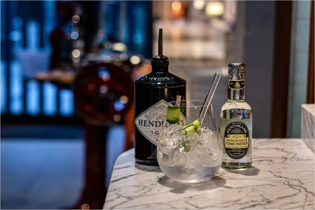 Detail Gin Tonic Glas Gurke Nahaufnahme Number 9