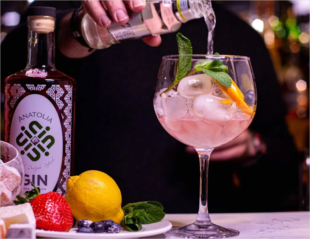Detail Gin Tonic Glas Gurke Nahaufnahme Number 10