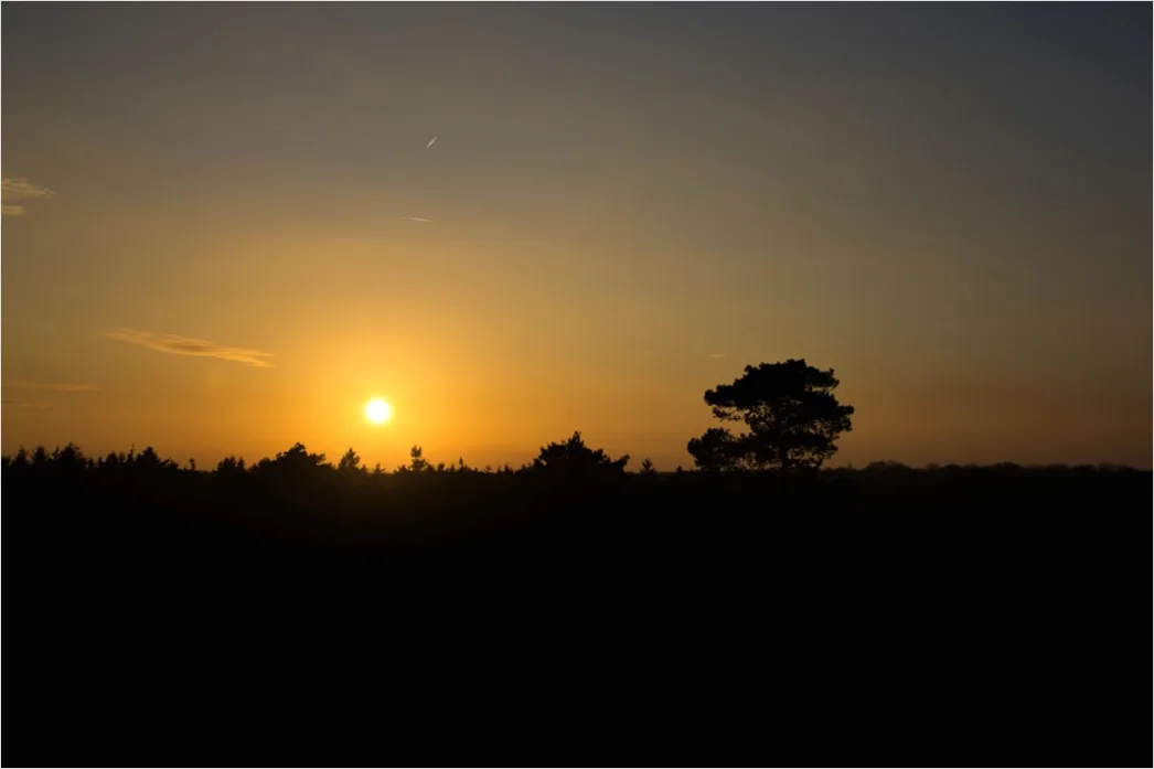 Detail Golden Hour Landschaft Warmes Licht Number 2