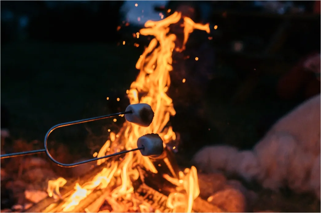 Detail Grill Abend Outdoor Sommer Stimmung Number 16