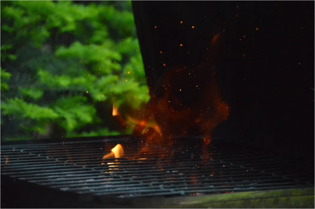 Detail Grill Abend Outdoor Sommer Stimmung Number 9