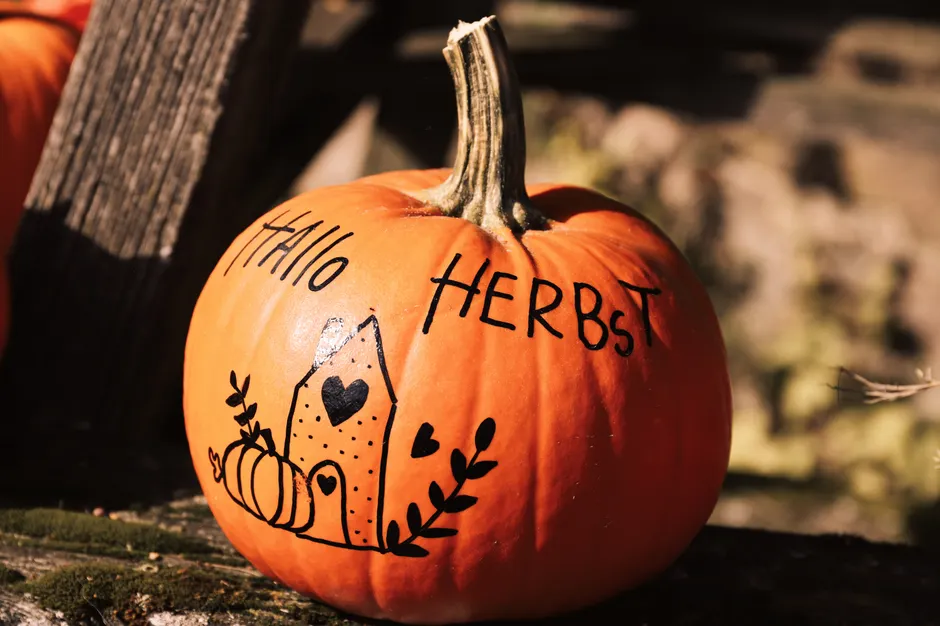 Detail Herbst Ernte Kürbis Feld Landschaft Number 5
