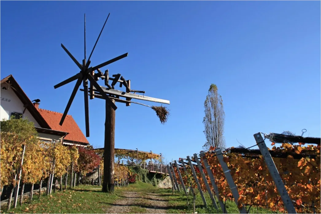 Detail Herbst Laub Fallen Wind Bewegung Number 2