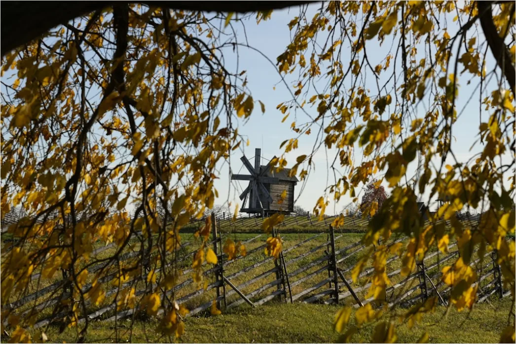 Detail Herbst Laub Fallen Wind Bewegung Number 12