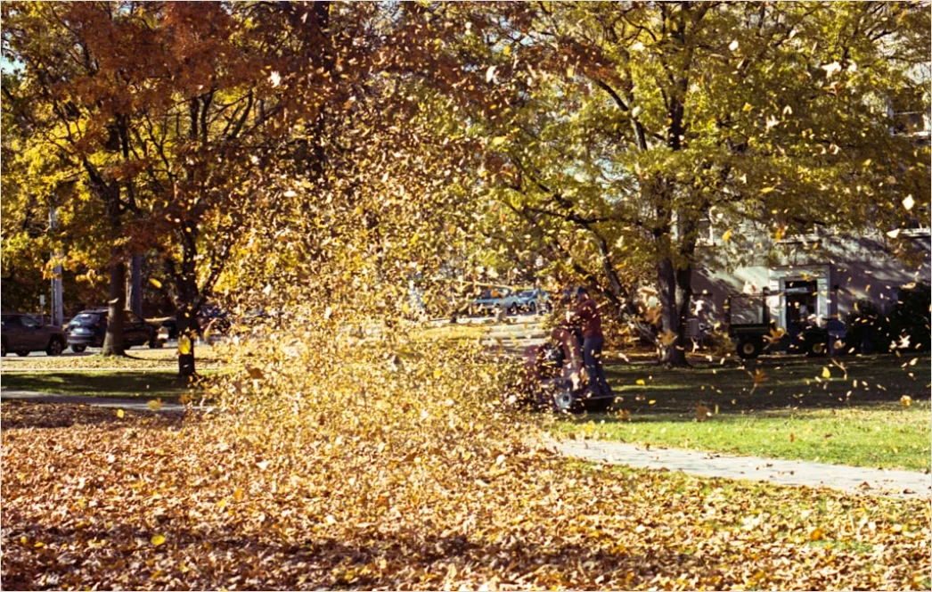 Detail Herbst Laub Fallen Wind Bewegung Number 15