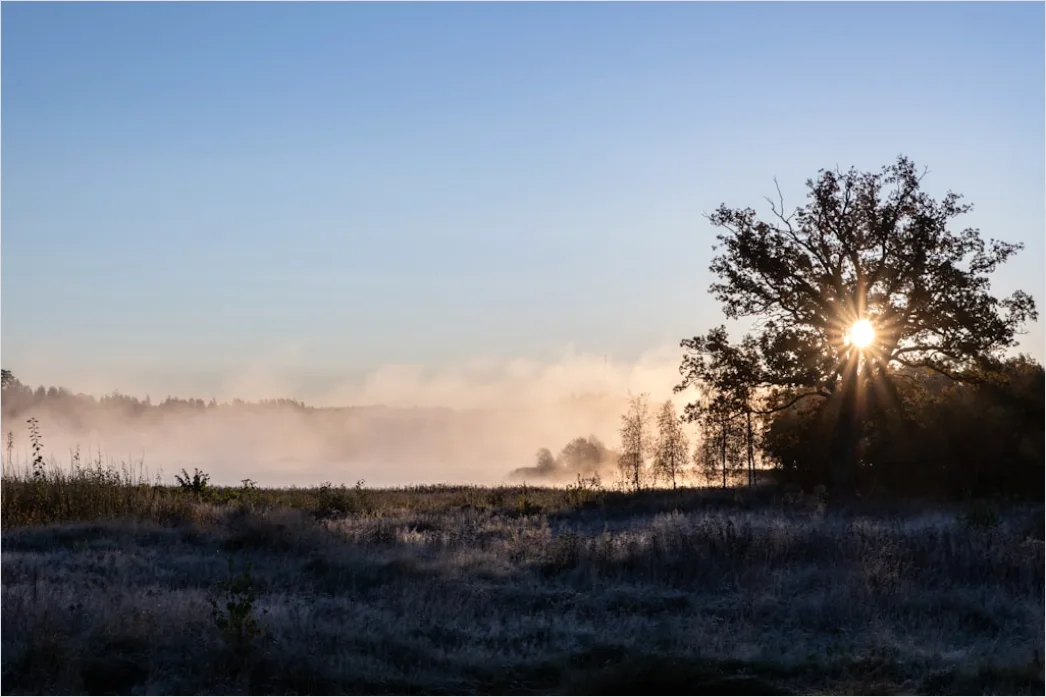 Herbst Nebel Morgen Tal Stimmungsvoll 442c
