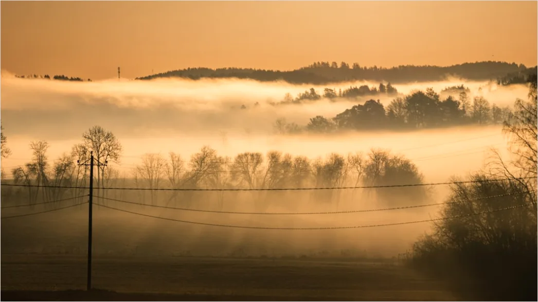 Detail Herbst Nebel Morgen Tal Stimmungsvoll Number 12