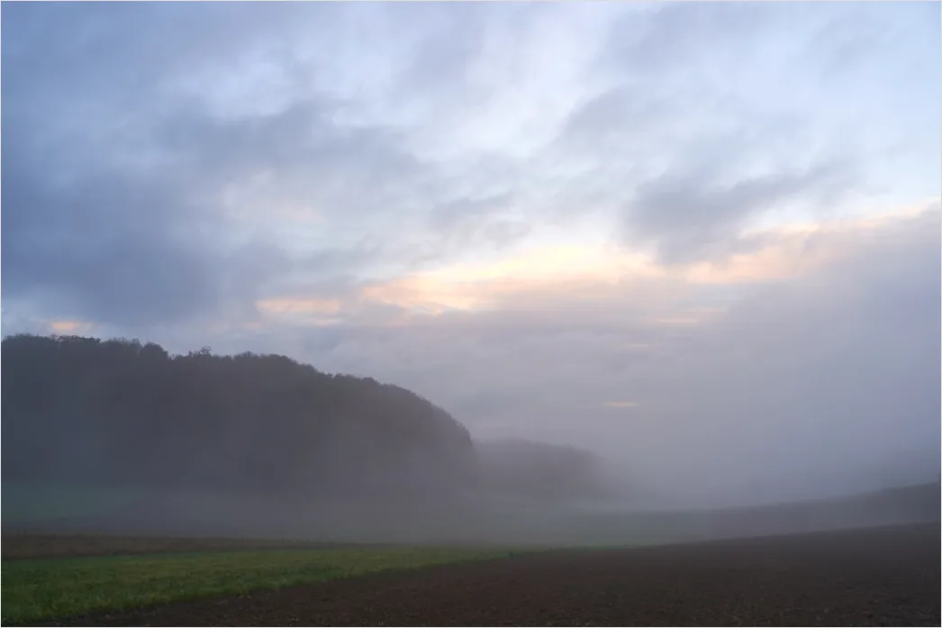 Detail Herbst Nebel Morgen Tal Stimmungsvoll Number 13