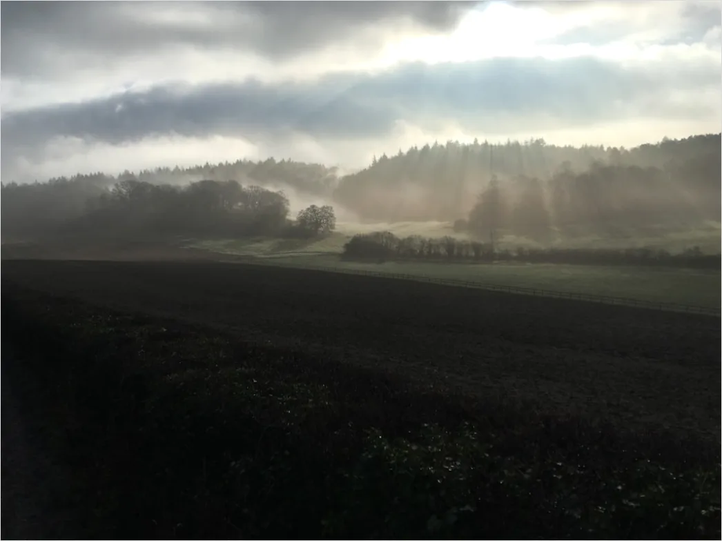 Detail Herbst Nebel Morgen Tal Stimmungsvoll Number 15