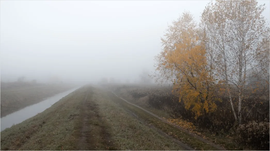 Detail Herbst Nebel Morgen Tal Stimmungsvoll Number 16