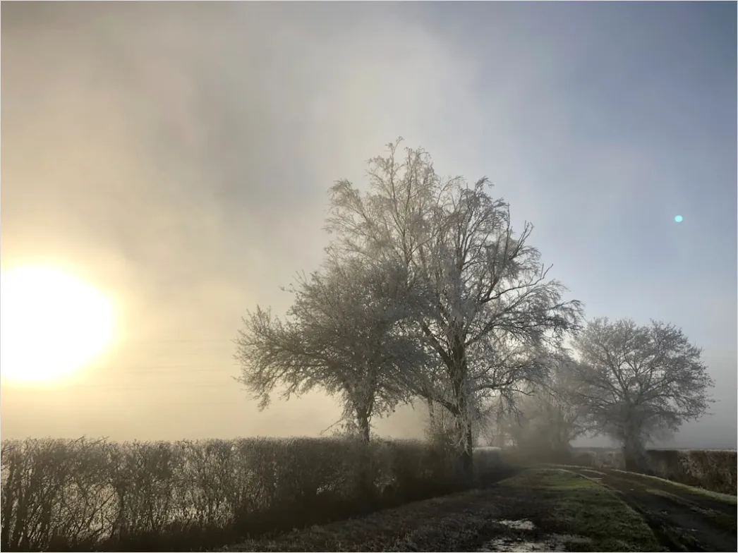 Detail Herbst Nebel Morgen Tal Stimmungsvoll Number 20
