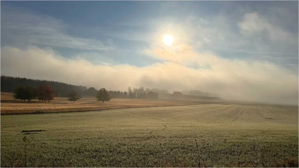 Detail Herbst Nebel Morgen Tal Stimmungsvoll Number 3