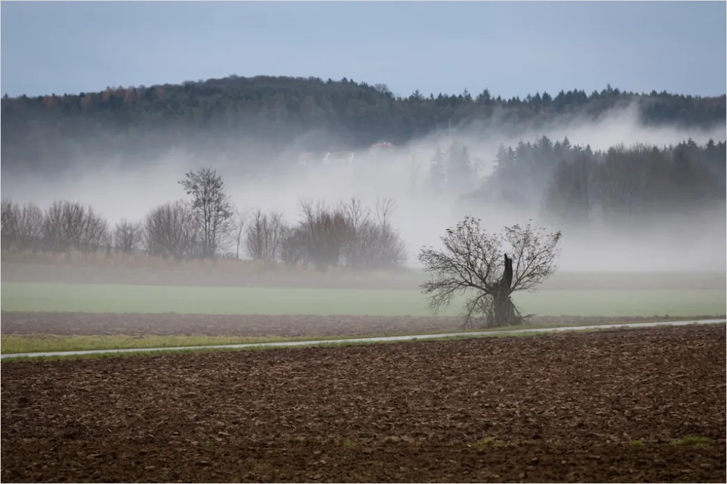 Detail Herbst Nebel Morgen Tal Stimmungsvoll Number 5