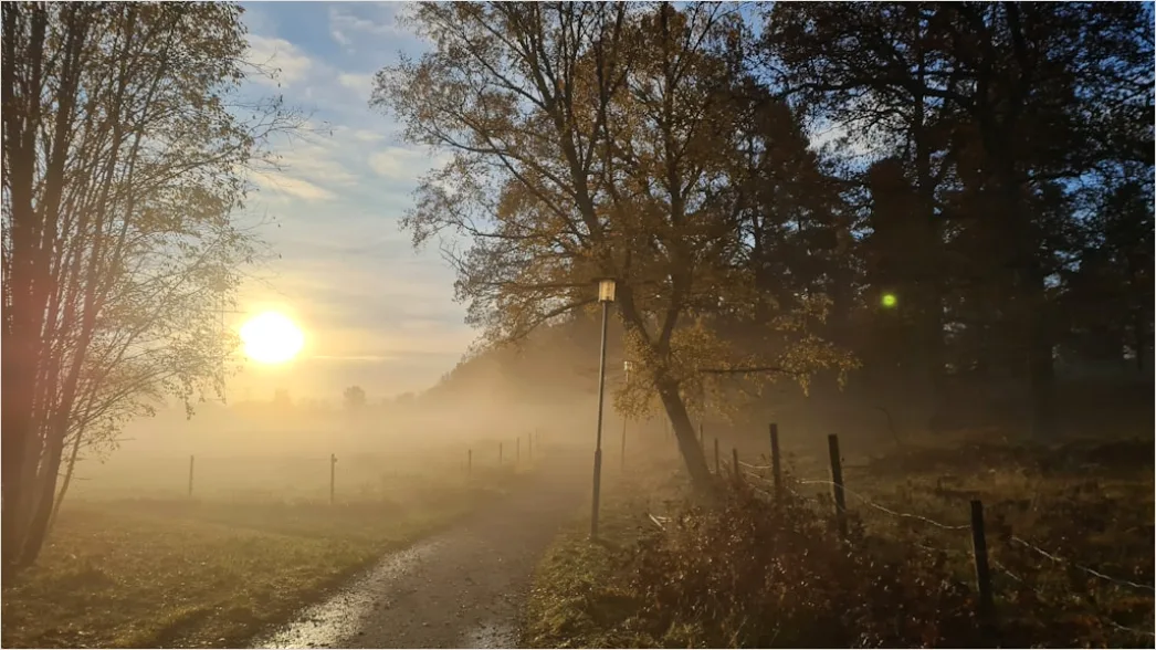Detail Herbst Nebel Morgen Tal Stimmungsvoll Number 6