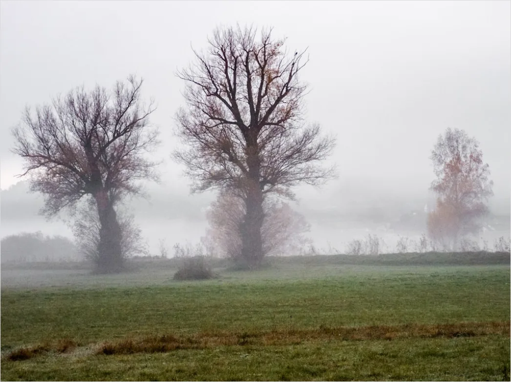 Detail Herbst Nebel Morgen Tal Stimmungsvoll Number 8