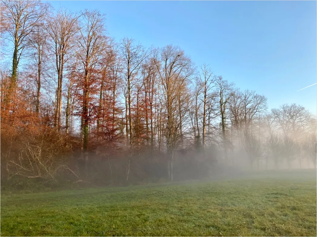 Detail Herbst Nebel Morgen Tal Stimmungsvoll Number 9