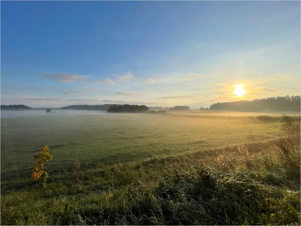 Detail Herbst Nebel Morgen Tal Stimmungsvoll Number 10