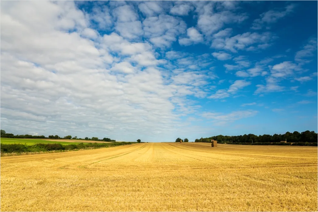 Herbstfeld Ernte Landschaft Stimmung 2a79
